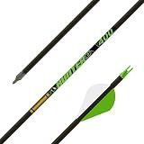 Gold Tip Hunter XT Arrow Shafts (Pack of 12), Black, 300