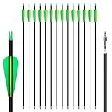 NorthSpoor 14 Pack 30" Archery Carbon Arrows,Practice Hunting Arrow with Removable Tips Shaft Spine 500 Suitable for Recurve Bows