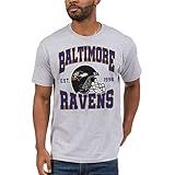 Junk Food Unisex Adult Nfl Team Helmet T-Shirt, Grey, Small US