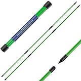 Seticek Golf Alignment Sticks 2 Pack,Upgraded 48" Collapsible Alignment Stick Golf Training Aid for Aiming, Putting, Swing Trainer, Golf Training Sticks with Clear Tube Case（Green）