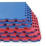 Xspec 1" Extra Thick 48 sq ft Reversible EVA Gym Foam Floor Mat Tiles (24" x 24"), Steel Pattern, 12 pcs, Blue & Red