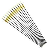 Practice Fiberglass Arrows Archery 30 Inch Target Shooting Safetyglass Recurve Bows Suitable for Youth Children Woman Beginner 6PCS Pack