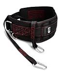 THEFITGUY Dip Belt with Strap – No Slip Secure Closure | 250lb Heavy Duty | Belt Squat Attachment, Weighted Dips, Pull Ups | Structured Back Support | 45-Degree Angle Rings, 2 Snap Hooks Included