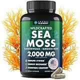 Secret Element Sea Moss Capsules with Burdock Root, Bladderwrack & Muira Puama, for Women and Men, Vegan, Sugar Free, Non-GMO, 120 Capsules