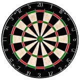 Hey Play Bristle and Metal Dart Board, 18”