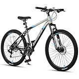 AVASTA 26 Inch Mountain Bike MTB for Adult Man Women Male, Gray