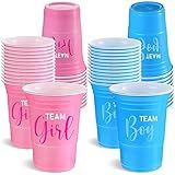 Norme 48 Pcs Gender Reveal Plastic Cups Gender Reveal Party Supplies Team Boy Team Girl Disposable Blue Pink Cups for Beverage Drink Tableware (16 oz)