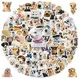 Anwyll 300Pcs Dog Stickers - Dog Meme Stickers Bulk Waterproof Vinyl Water Bottle Sticker Self Adhesive Cute Puppy Sticker Bulk for Scrapbooking Skateboard Laptop Guitar Adult Dogs Party Favor Decor