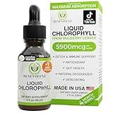 Benevolent Nourishment Chlorophyll Supplement, Detox & Immune Support, Internal Deodorizer, Liquid Drops