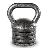 Apex 20 lb Adjustable Kettlebell Handle Loads to 50 lbs 1 Inch Plates Only