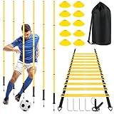 SMTPDT Soccer Agility Training Equipment: 6 Soccer Agility Poles, 20ft Agility Ladder, 10 Soccer Cones, 1 Jump Rope. Soccer Training Poles for Speed Training, Agility Training
