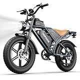 DEEPOWER Electric Bike for Adults,2000W Peak Motor&32MPH Electric Dirt Bike，48V 20AH/35AH/60AH Battery, 70-160 Max Miles,Dual Suspension Ebikes for Adults, 20" Fat Tire E Bike