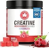 GABE SUNNYBEARS Creatine Gummies, (160 Count) NSF Certified, 5g Creatine Monohydrate per Serving withTaurine & B12, Raspberry Flavor, for Men & Women