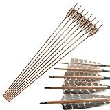 Pinals Traditional Archery Hunting Arrows 400 500 600 Spine Turkey Feather 30 32 Inch Carbon Shafts for Recurve Longbow Compound Bows Targets 12PCS 500