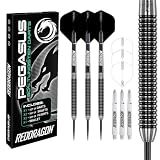 RED DRAGON Pegasus Tungsten Steel Darts Set - 24 Gram - Black Stems and Black Flights