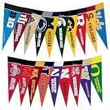 Rico Industries NCAA Big Ten Complete 4" x 9" Felt Mini Pennant League Set (Includes ALL Teams)
