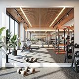 Antok Home Gym Mirror 48"x24" 2PCS, Large Full Length Wall Mounted Mirrors, Frameless Tempered Glass Full Body Mirror for Gym Yoga Dance Studio Garage Bedroom & Bathroom