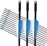 GPP Archery Beginner's First Arrows (30" Fiberglass Target Archery Arrows) - 12 Pack,Blue