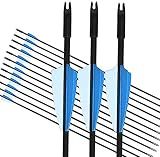 GPP 30-inches Fiberglass Archery Target Arrows - Practice Arrow or Youth Arrow for Recurve Bow-12 Pack,Blue
