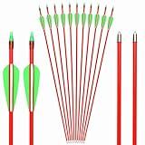 GPP 12 PK 28 Fiberglass Archery Target Arrows - Practice Arrow or Youth Arrow for Recurve Bow, Red
