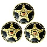 US Secret Service Challenge Coin Counter Assault Team Collectible Coin (Pack of 3)