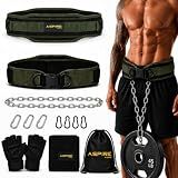 ASPIRE FORGE Weighted Dip Belt with Chain, Weight Belt for Dips, Pull Ups & Belt Squats, Complete Kit with Back Brace Style Support, Dumbbell Strap & Weight Lifting Gloves