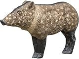 Rinehart Signature Javelina 3D Archery Target | Realistic Peccary with Replaceable Vital Insert | Broadhead & Field Point Compatible | Self-Healing Foam | Made in USA