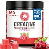 GABE SUNNYBEARS Creatine Gummies, (160 Count) NSF Certified, 5000mg Creatine Monohydrate per Serving withTaurine & B12, Raspberry Flavor, for Men & Women