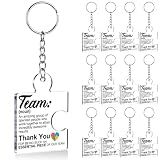 DRMNPKT Set of 12 Team Appreciation Gifts Bulk for Coworkers Keychains | Thank You Gift for Employee, Staff, Teachers, Teamwork Office Puzzle Piece Keyring, Acrylic, Multicolor