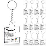 DRMNPKT Set of 12 Team Appreciation Gifts for Coworkers Bulk, Employee Appreciation Gifts Thank You Keychain for Team Staff Teachers Volunteer, Teamwork Gift Office Puzzle Piece Acrylic Keychains