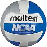 Molten Recreational Volleyball