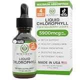 Benevolent Chlorophyll Liquid Drops for Internal Freshness, Peppermint