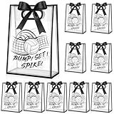 Aliceset 12 Pcs Volleyball Clear Goodie Bag with Die Cut Handles and Ribbons Sport Theme Party Favor Bags for Volleyball Team Snack Wrapping Teamer Gifts Birthday Party Treats Supplies, 7x10x3.15 Inch