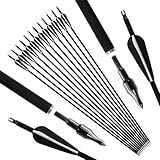 Luoyer 12Pcs Archery Hunting Arrows for Compound Bow Recurve Bow with Removable Tips Adjustable Nocks for Adults Hunting Targeting 30inch (Black Vanes)
