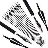 Luoyer 12Pcs Archery Hunting Arrows for Compound Bow Recurve Bow with Removable Tips Adjustable Nocks for Adults Hunting Targeting 30inch (Black Vanes)