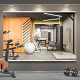 Home Gym Mirror for Wall, 48x24x3PCS Frameless Full Length Mirror, Silver