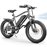 isinwheel M10 Pro Electric Mountain Bike for Adults 750W Motor, 22mph 20" x 4" Fat Tire Ebike, Bicicleta Eléctrica para Adultos Black