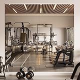 TETOTE Gym Mirrors for Home Gym Wall Large 72" x 36" - 2PCS Workout Exercise Fitness Mirror, Tempered Glass Frameless Full Length Mirror for Garage, Dance Studio, Yoga, Bedroom, Living Room