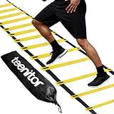 Teenitor 13 Rung Agility Ladder Speed Ladder Training Ladder for Soccer, Speed, Football Fitness Feet Training Carry Bag Agility Training Equipment, Workout Ladder, Sports Agility Ladders