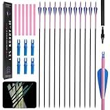 30 inch Carbon Arrow Practice Hunting Arrow, with Detachable tip, can emit Light in Dark environments After Being Exposed to Strong Light, Suitable for Composite Bows and recurve Bows (Set of 12)