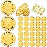 Ceenna 50 Pcs Employee of The Month Lapel Pin Bulk Star Recognition Appreciation Gift Enamel Gold Plated Performance Reward Gift for Staff Team Volunteer Nurse Teacher(Teamwork)