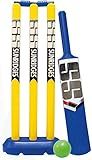 T TABAKH SS Junior Plastic Cricket Kit Playing Set, (1 Bat, 3 wickets, 1 Wicket Base, 2 bails, 1 Plastic Ball), Multi Player, Ages 13 and Up