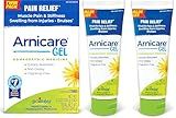 Boiron Arnicare Gel 4.2 oz (Twin Pack) for Joint Pain Relief, Muscle Pain, Muscle Soreness, and Swelling from Bruises or Injury - Non-Greasy and Fragrance-Free Arnica