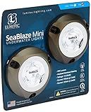 Lumitec 101246, SeaBlaze Mini Underwater LED Boat Lights - 700 Lumens, Marine Grade, Fishing, Dinghy, Skiff - Sold as a Pair - Made in the USA, Blue