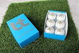 BT White Cricket Ball - Pack of 6 Genuine Leather Cricket Balls for Day or Night International Standard Cricket | Bat-Friendly Hard Cricket Ball Made from Sustainable Sources | 156g 2 piece