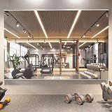 pertetey 56 x 16 in Home Gym Mirrors, Frameless, 3-Pack