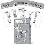 NewMe Fitness Dumbbell Workout Cards, Instructional Fitness Deck for Women & Men, Beginner Fitness Guide to Training Exercises at Home or Gym (Dumbbell, Vol 1)