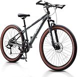 24/26 inch Mountain Bike for Men/Women, 21 Speeds Mountain Bike, 2.125'' Thickened Tires MTB Bicycle with Suspension Fork, Dual Disc Brakes, Internal Wiring Frame, Auxiliary Handle (Gray, 26 inch)