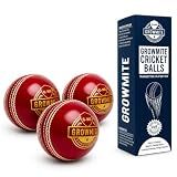 Growmite Leather Cricket Ball 156g Each, 4-Piece Construction, Hand-Stitched Raised Seam, Practice, Training, T20 & Club Match Play (1, Red)