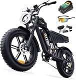 1500W Adult Electric Bike, Fast E Bike for Adults Electric Fat Tire Ebike